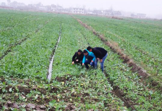 �ʶ���ũ�����ƹ�վվ��֣�ͺͼ�����Աָ���Ͳ˶���������