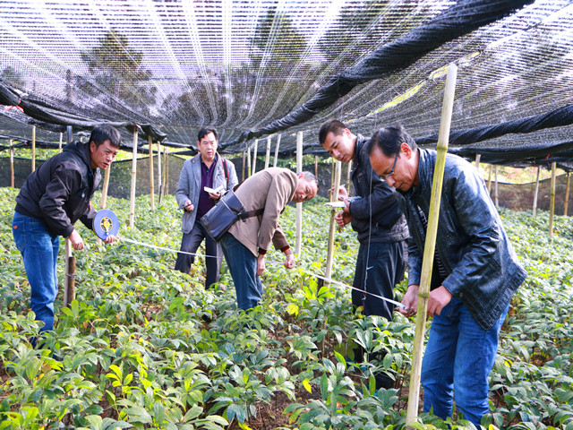 ���������ظߺ�������ɽ�����֡����ߡ��ɹ�