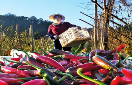 ������Ϫ�̺�˳ɻƲݰ����ա���Կ�ס�