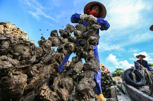 �������ݣ���������