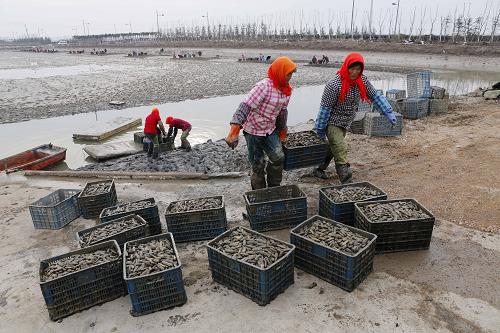 1128գʡƸиͷغջʳġɡ