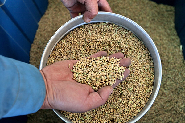 1127գϺнɽͤڽֵ͹㣬Աڲ鿴ɵĵȡ