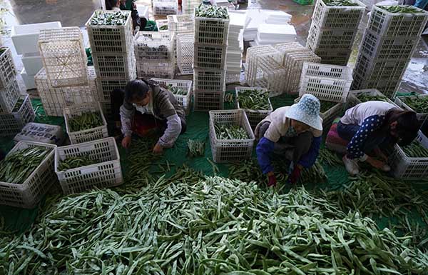 ���ϱ����������߲˱��ϱ����������ӡ�