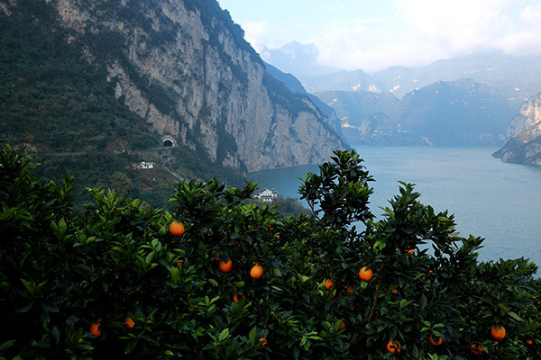 1129գϿʡϿũֲȵ׺ڳߡ