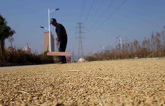 ���ջ�Զ����Ŵ��֮�硱��ɹæ