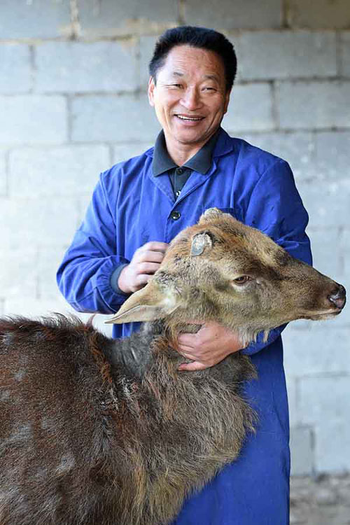 �ƽ����ڽ���ʡ��Ϫ�غ׳����³��˴��Լ���÷��¹��ֳ���տ�÷��¹��11��26���㣩��