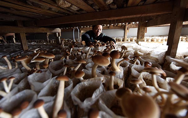 江西新余:小额贷款 服务三农