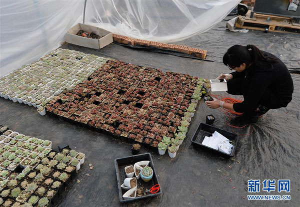 ��11��30�գ����������ռ������´壬�������������ڴ�����ͨ��΢�ź���ҽ������������2015��3�½���3000��ƽ���׵Ķ���ֲ����ֲ������������۶�ɹ�ʱ�ﵽ1��Ԫ��