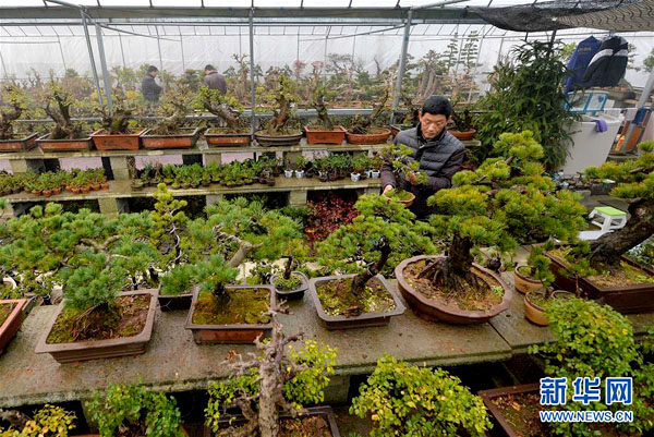 11��30�գ����������ռ������´壬����л�����ڴ������չ��辰��Ŀǰл������ӵ��200��ƽ���׵��辰��ֲ������������۶�100����Ԫ��