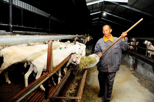 ������������������λһ�塱���ƽ��ڷ�ƶ���µ�������