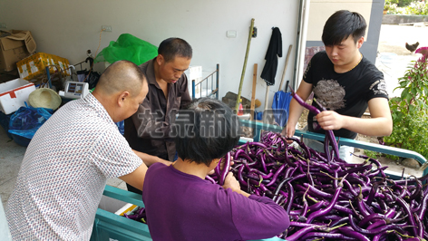 㽭Ȫаɲ巢չɫũҵҵ