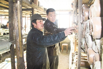 ���ɹ��������к�ľ��ͥԺ��ֲ��ũ���¸��²�ҵ