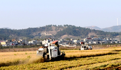 ���ջ�����������æ