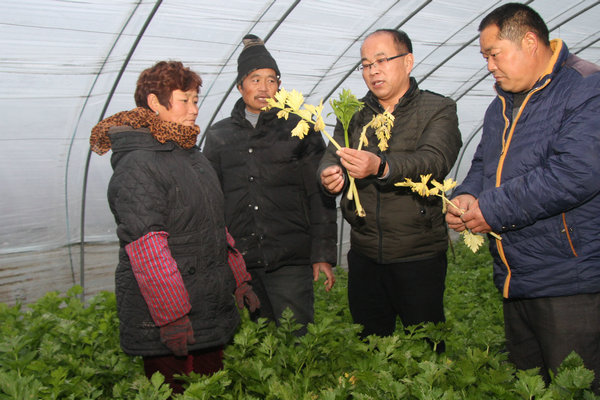 �����Ϫ���幵����ɫ��ֲ��ũ��