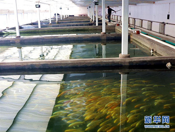 122գԱںӱʡ¡ش糵нĲ鿴糤ơ