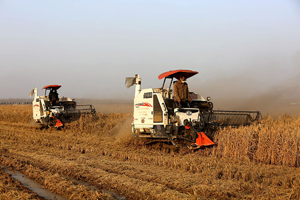 �������ݣ������������ˮ��