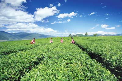 ����֮�ϵ�ũҵ�ִ�������