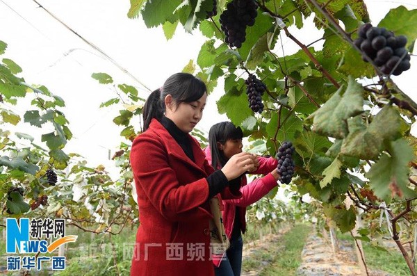 ���������У������θ�ũ��