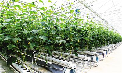 ˮִũҵʾȴʩũҵչʾĸЧ߲õ֧ʽɵϵͳѹеࡣ