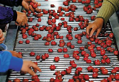 ʥŮ¸ũҡˮȫʥŮֲ6Ķң612