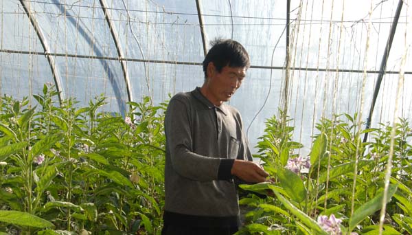 ��ֲ�����ڴ����˲ι���