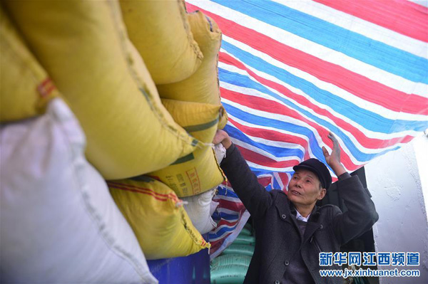 南昌县蒋巷镇三洞村种粮大户刘和平在检查粮食是否受潮,他已经在粮食烘干厂等待三天