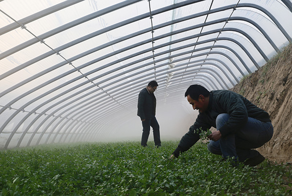 127գҴڣֲڲ鿴߲˵