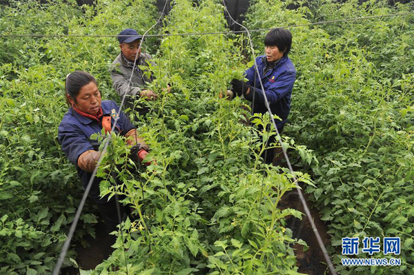 ӱ̰أչʩֲ߲ ƴͳũҵת