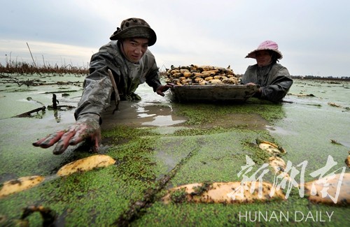 26գڳźƯˮ棬éСˮռ