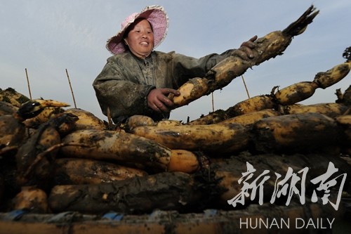 ʯһ߽źּװһ߼ź˵˵ڵźܴ󡢺ܶࡣ