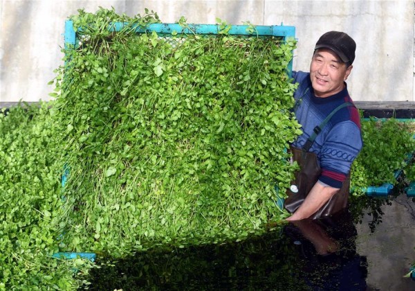 �ӱ����壺������ˮ�ۡ�ϲ�����