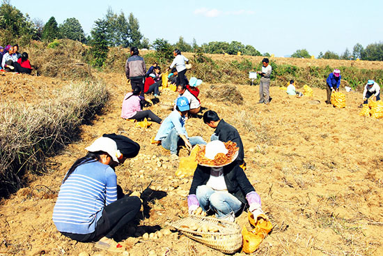 ͼΪũ�������������ֻ��ض�������Ʒ������ѡ����