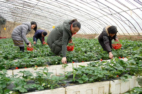 1213գɽˮִũҵƼʾ԰ڣũڸժķݮ