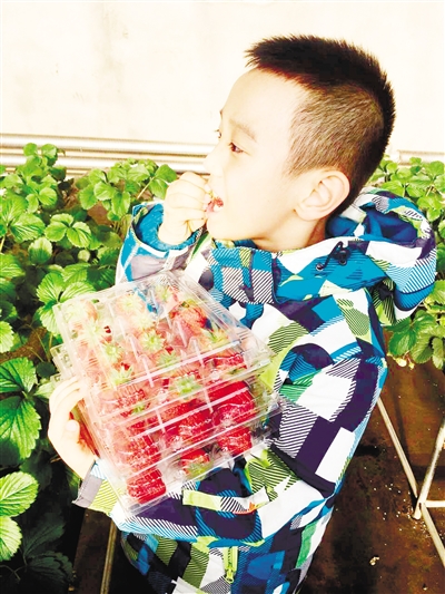 ���ɹź��������ܶ������Ҳ�ݮ��������2