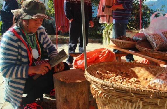 云南福贡县:小核桃成农民增收“致富果”