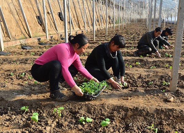 1215գںӱʡʯׯظͷʩ߲˻Ҵֲڼӽֲƹ硣