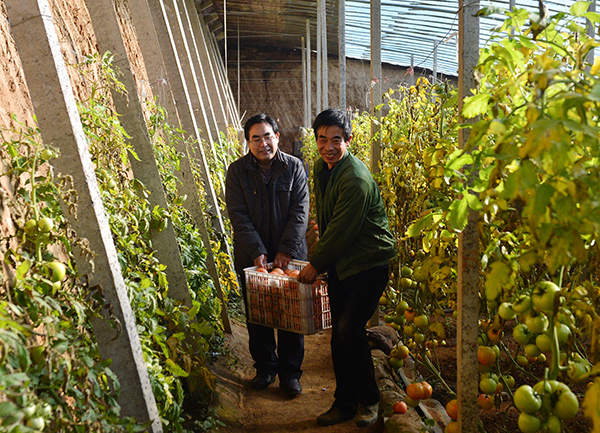 1215գںӱʡʯׯظͷʩ߲˻Ҵֲջ