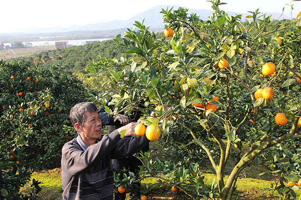 1216գʡеˮϰȻأڲժȡ