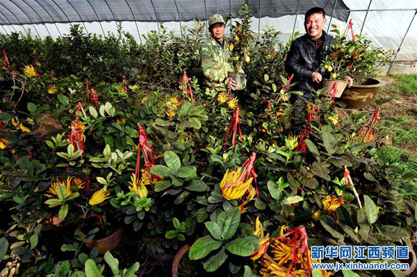 江西东乡县:多措并举 精准扶贫