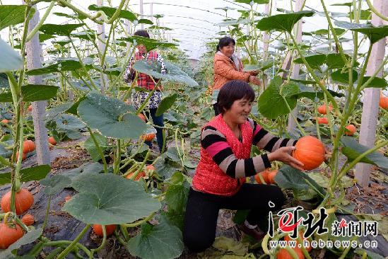 ӱˮǿشƹϹֲ 3000ũ¸