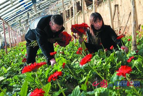 �ӱ�ƽȪ��ƽȪ��ӿ�ũҵ��չȷ��ũ���¸�����