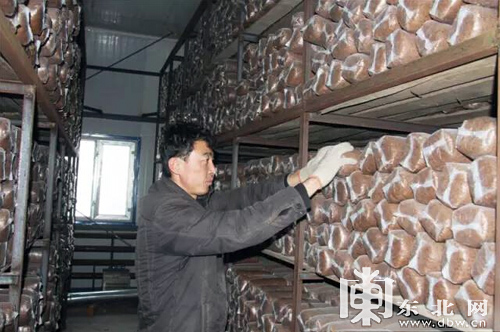 ־ǲҵ֣ʳþƼ´ɭʳƷҵ桱