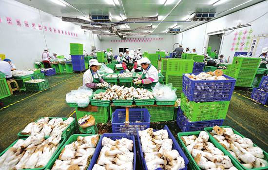 ������һ��һ·�� �Ĵ��ϳ�ʳ�þ����ա�����·��ͼ��