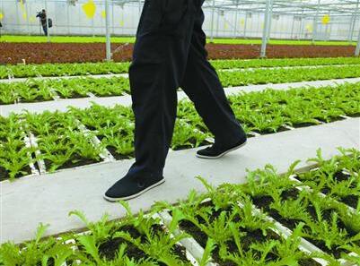 ϺԺʽũҵ 10ԪԱժ߳Ա߳