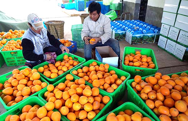 ����ŭ�����ٷ���