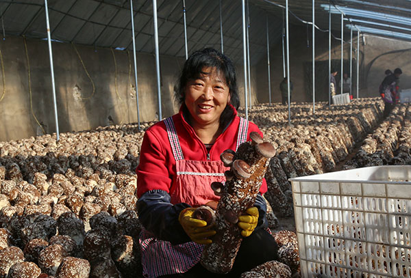 12��16�գ��ػʵ��и�����Ů����ʳ�þ��������ũ���ڴ����ڲ�ժ�㹽��