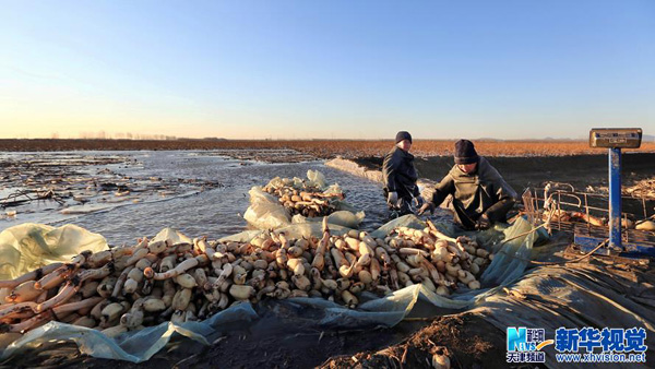 ԰յũԪң12ũݾӪź5ꡣ