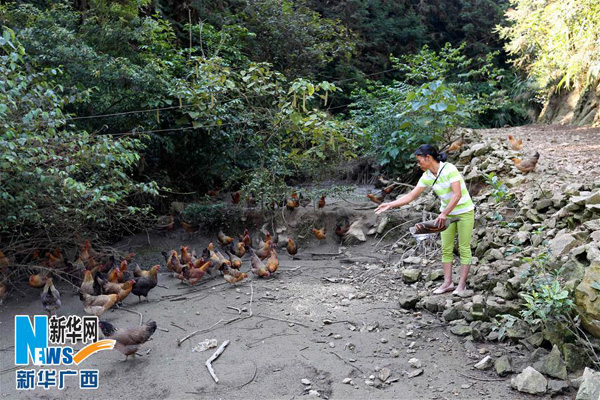 ڰش¸ֳڸͶʳ1017㣩