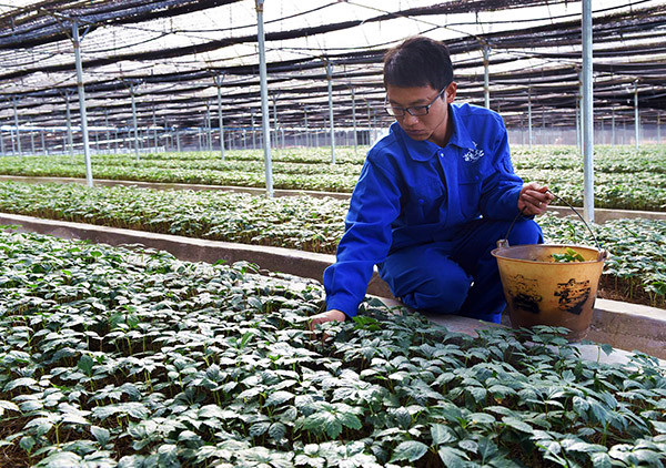 ������ɽ�أ��������߿Ƽ����ּ���Ч