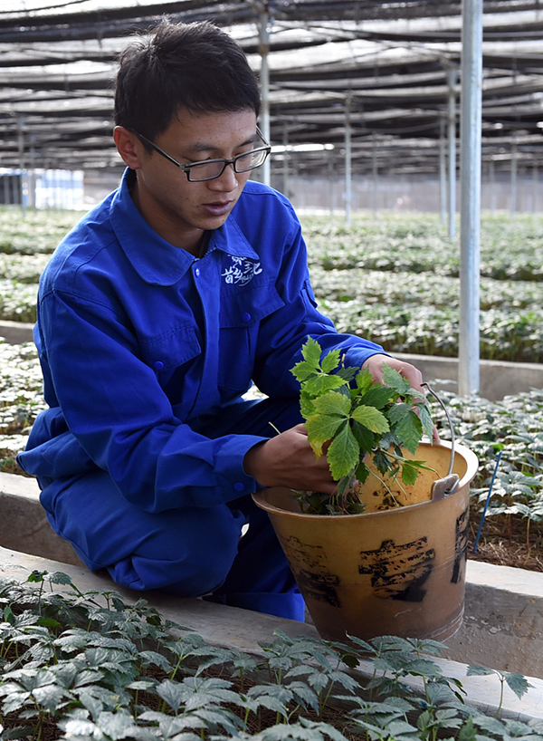 һλ������Ա���������������䷽����ʾ������������߲��磨12��21���㣩��